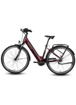 E-Bike Comfort Plus 5.0 von Saxonette