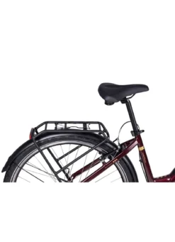 E-Bike Comfort Plus 5.0 von Saxonette