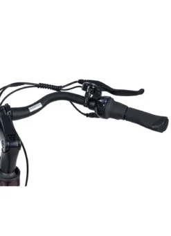 E-Bike Comfort Plus 5.0 von Saxonette