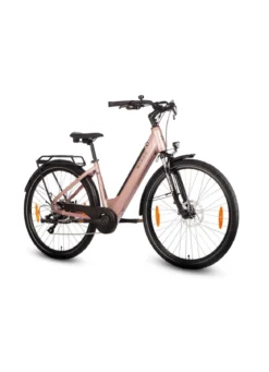 E-Bike Comfort Sport Easy von SAXXX