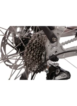 E-Bike Deluxe SUV Easy