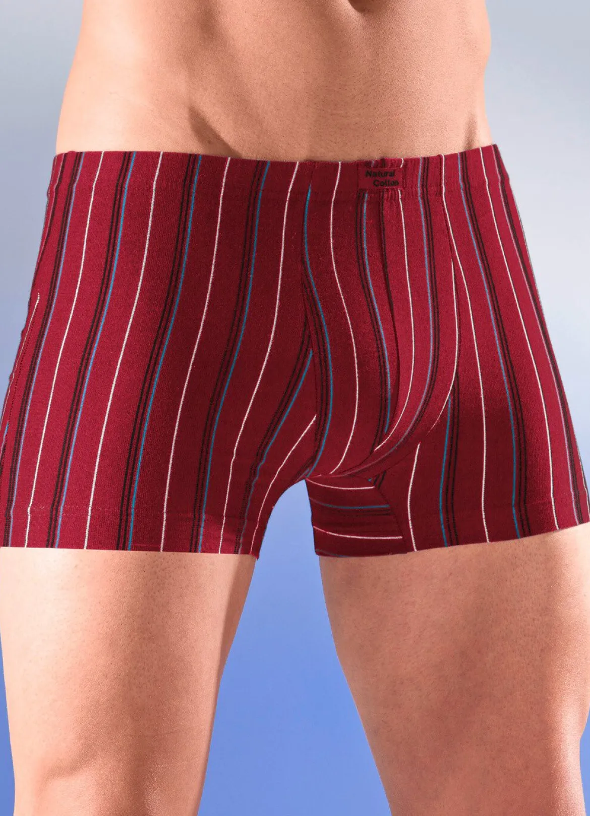 Sechserpack Pants mit Streifendessin