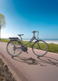 Trekking-E-Bike XT485 von Telefunken