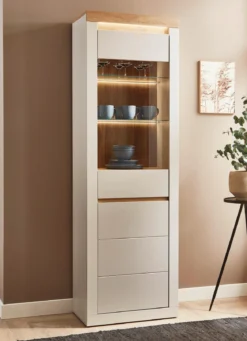 Vitrine mit LED-Beleuchtung, 1-türig