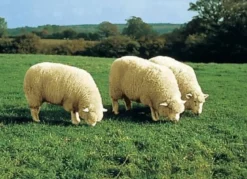 Vorleger aus echtem Merino-Lammfell