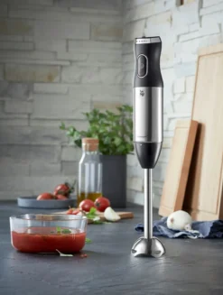 „WMF” Stabmixer